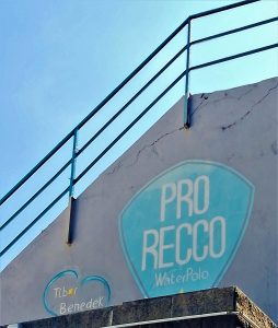 #proreccowaterpolo